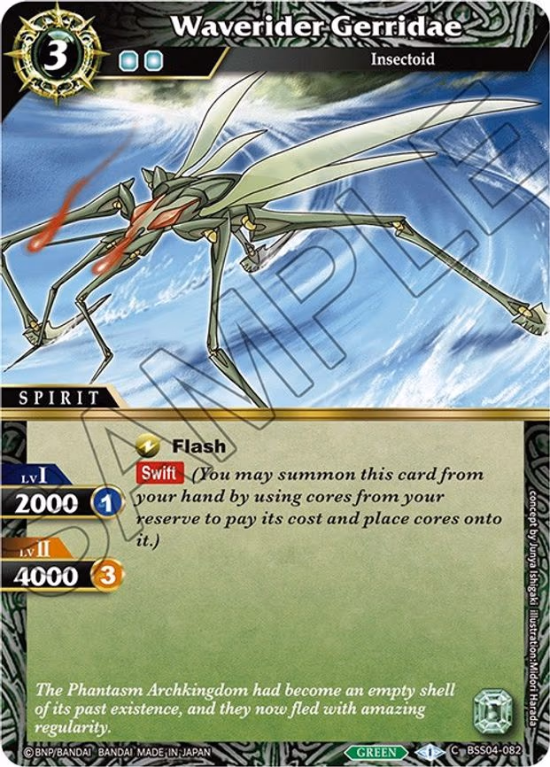 Waverider Gerridae - Common (BSS04-082)