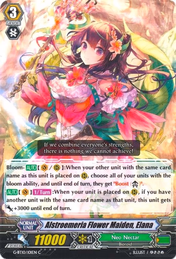 Alstroemeria Flower Maiden, Elana