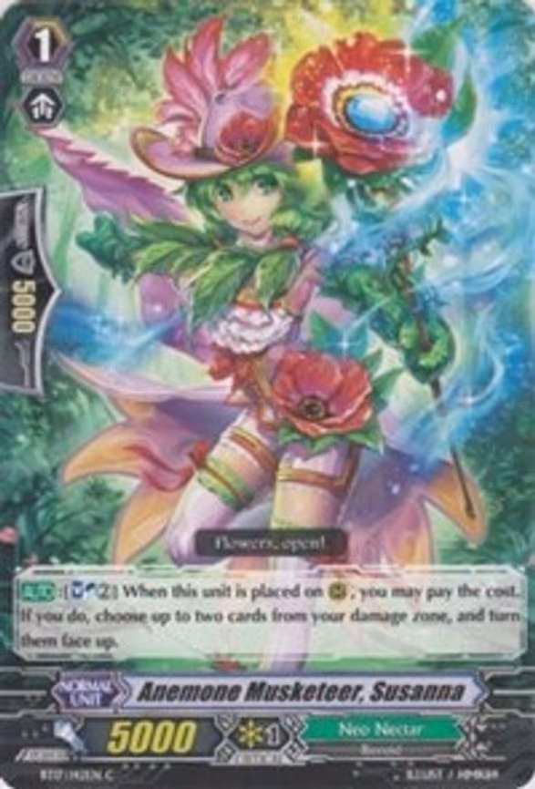 Anemone Musketeer, Susanna
