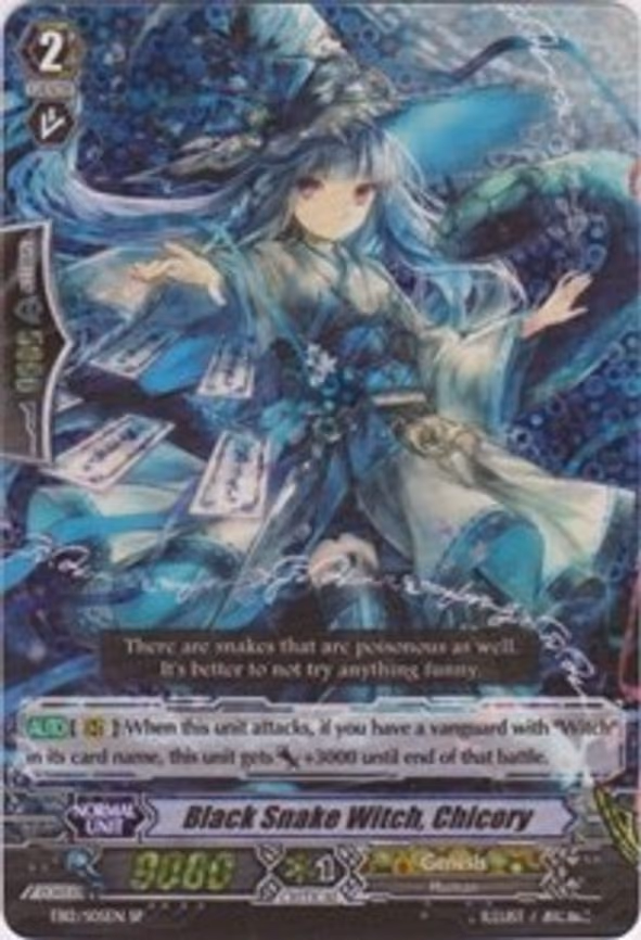 Black Snake Witch, Chicory