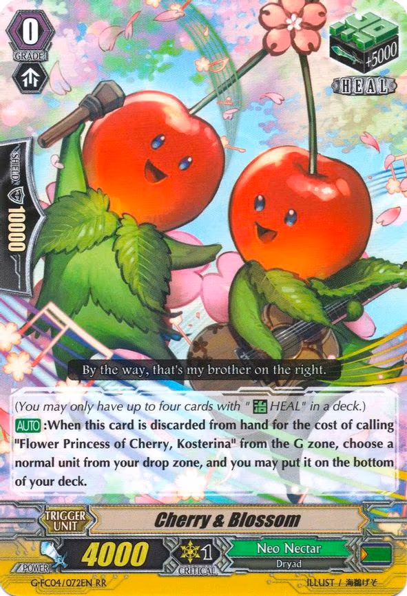 Cherry & Blossom