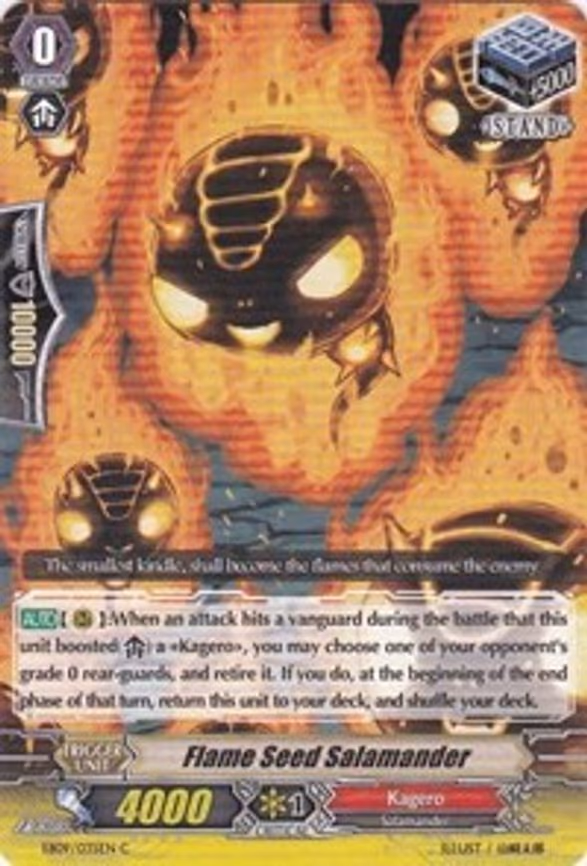 Flame Seed Salamander