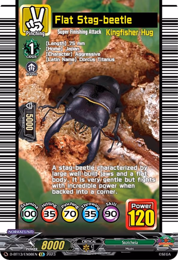 Flat Stag-beetle - EX (D-BT13/EX08EN)