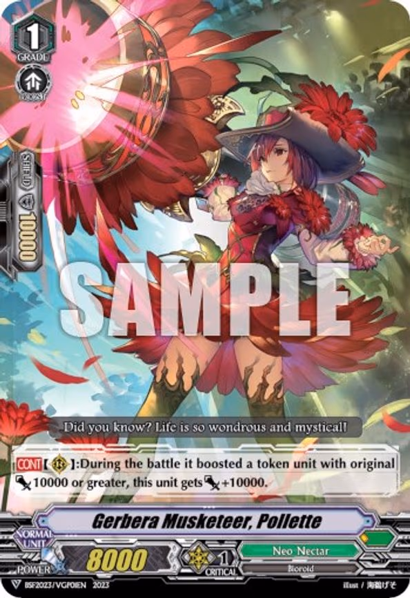 Gerbera Musketeer, Pollette - PR (BSF2023/VGP01)