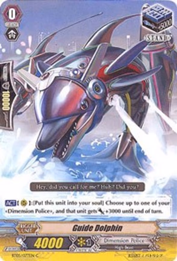 Guide Dolphin - C (BT05/077EN)