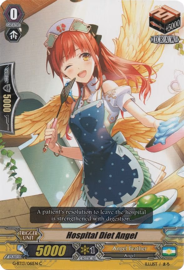 Hospital Diet Angel - C (G-BT13/061EN)