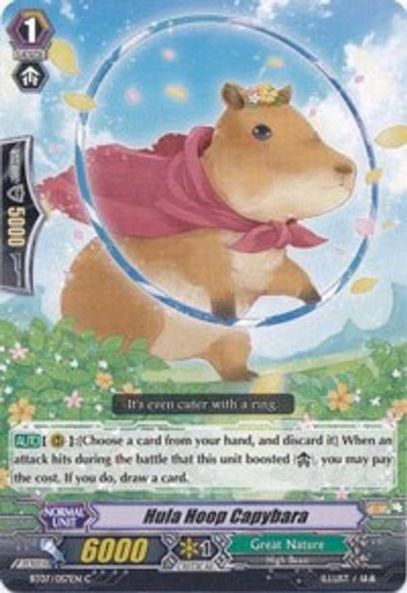 Hula Hoop Capybara - C (BT07/057EN)