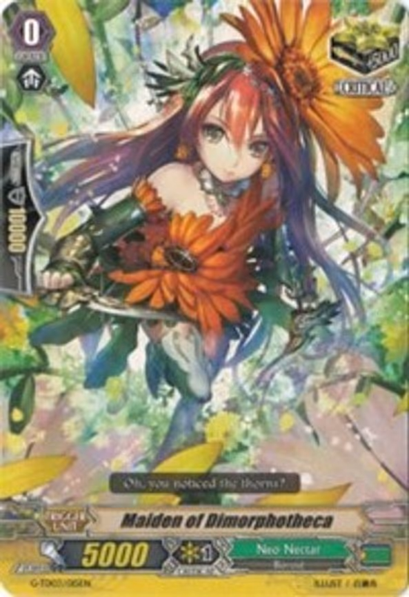 Maiden of Dimorphotheca
