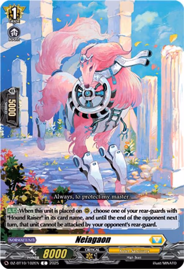 Neiagaon - C (DZ-BT10/102EN)