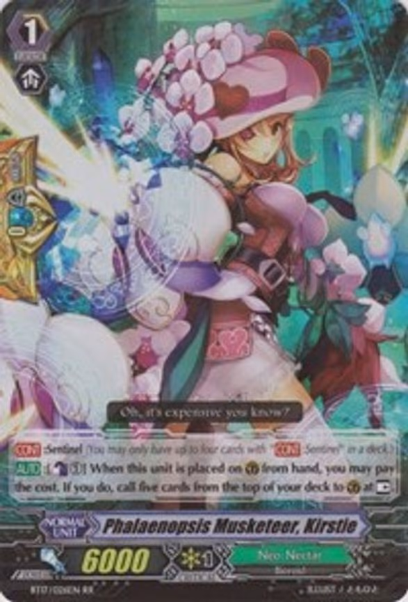 Phalaenopsis Musketeer, Kirstie - RR (BT17/026EN)