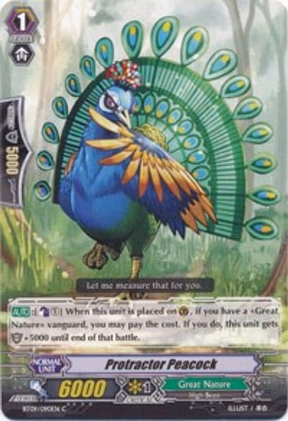 Protractor Peacock - C (BT09/090EN)