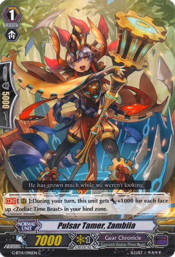 Pulsar Tamer, Zambiia - C (G-BT14/096EN)