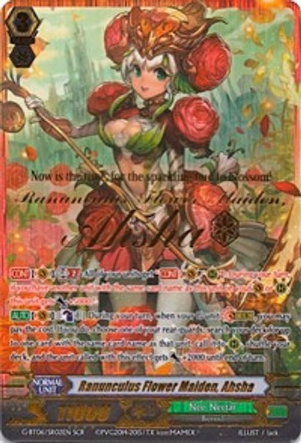 Ranunculus Flower Maiden, Ahsha