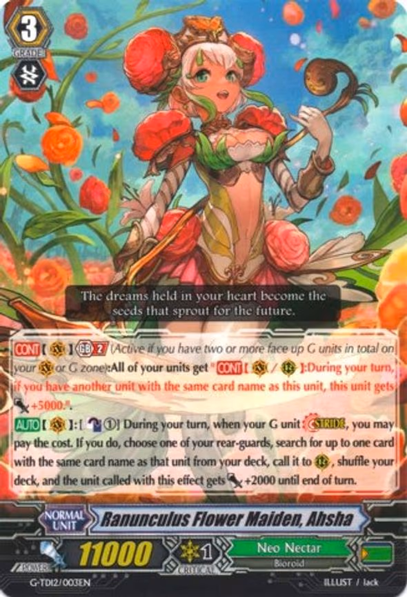 Ranunculus Flower Maiden, Ahsha