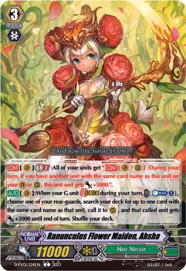 Ranunculus Flower Maiden, Ahsha