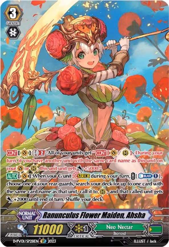 Ranunculus Flower Maiden, Ahsha
