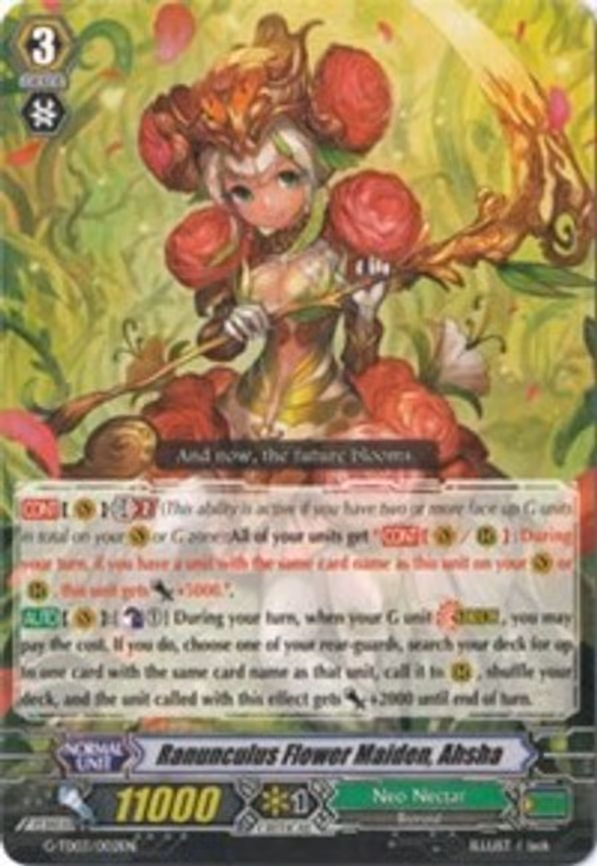 Ranunculus Flower Maiden, Ahsha