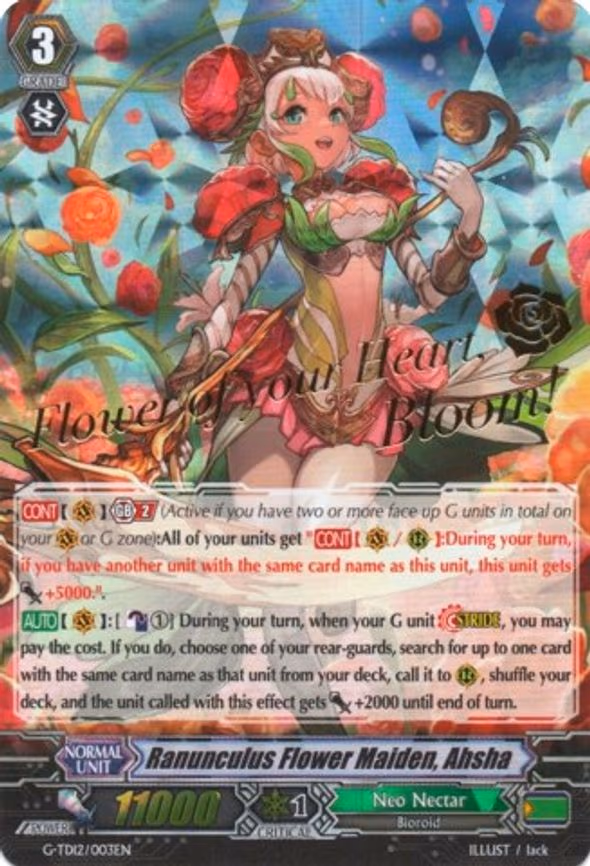 Ranunculus Flower Maiden, Ahsha