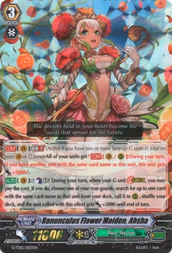 Ranunculus Flower Maiden, Ahsha