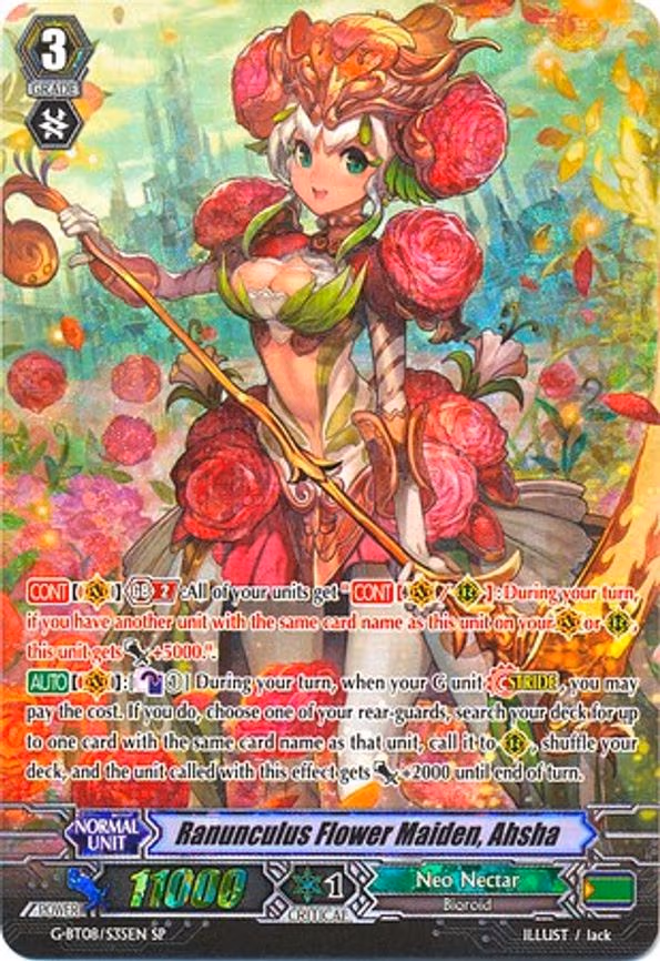Ranunculus Flower Maiden, Ahsha