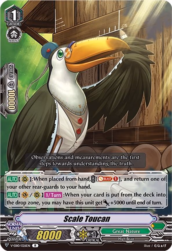 Scale Toucan - R (V-EB10/026EN)