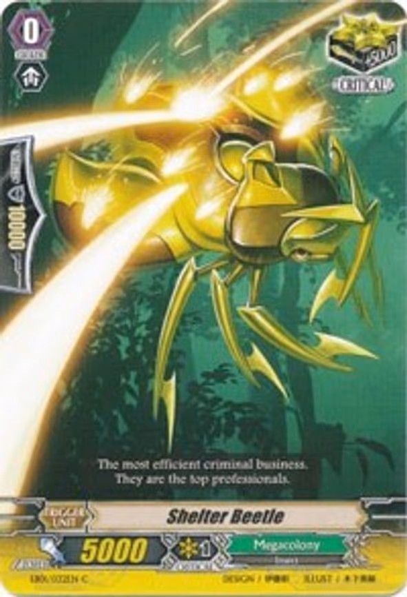 Shelter Beetle - C (EB01/032EN)