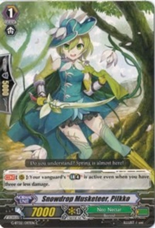 Snowdrop Musketeer, Pilkko - C (G-BT02/097EN)