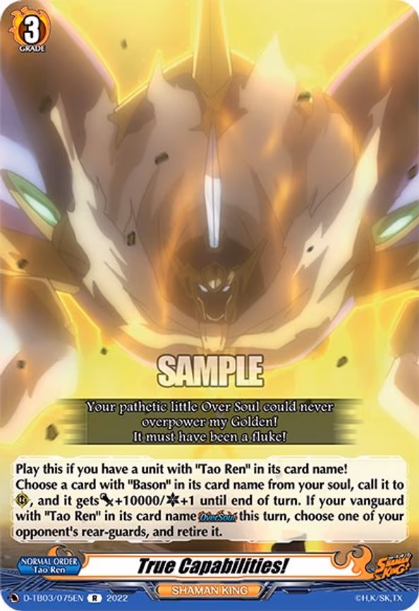 True Capabilities! - R (D-TB03/075EN)