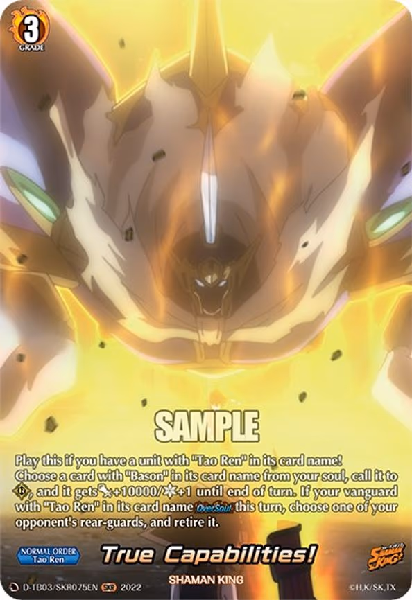 True Capabilities! - SKR (D-TB03/SKR075EN)