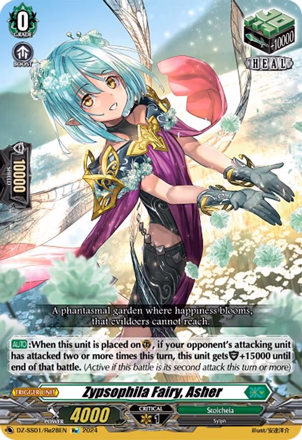 Zypsophila Fairy, Asher