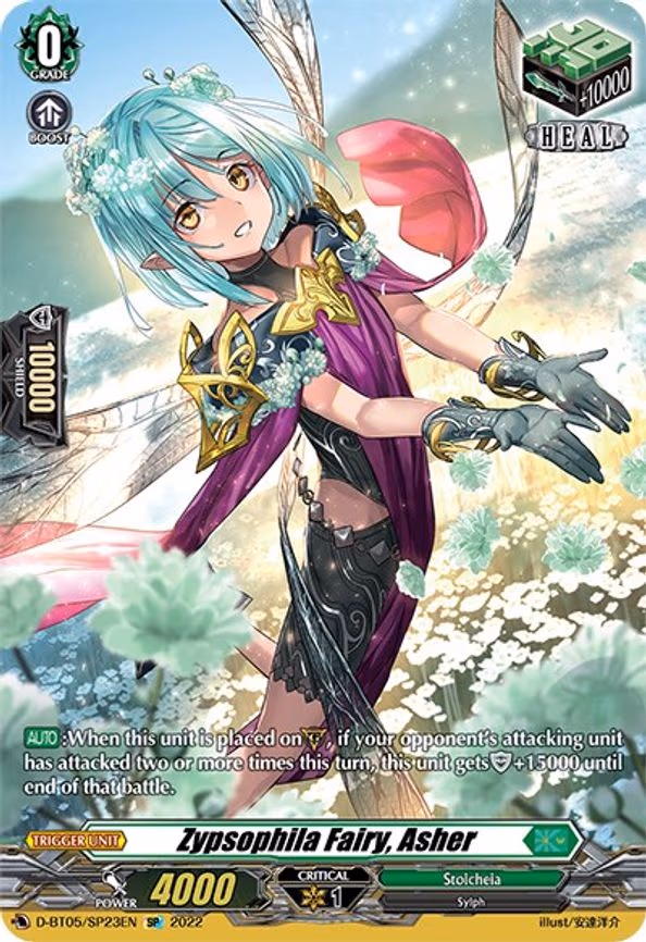 Zypsophila Fairy, Asher