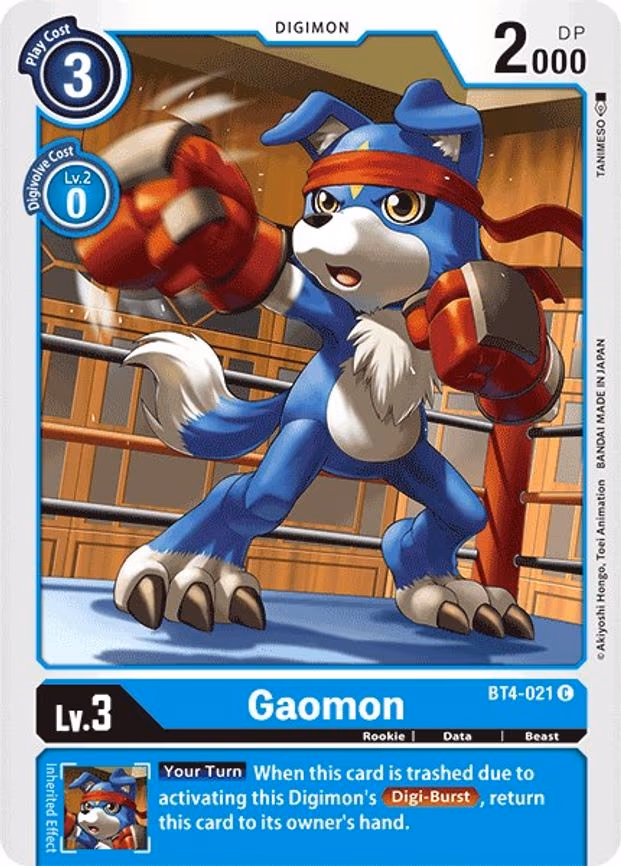 Gaomon