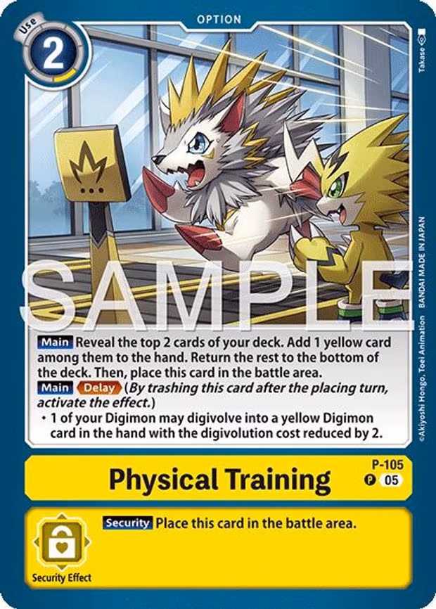 Physical Training