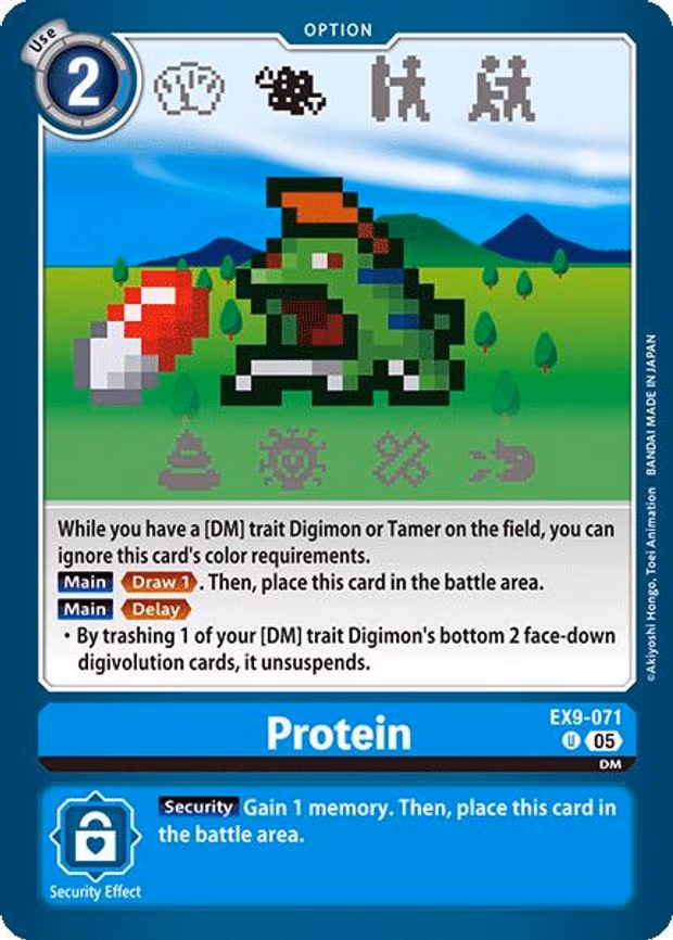 Protein