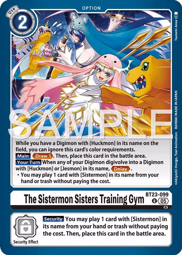 The Sistermon Sisters Training Gym