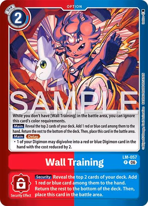 Wall Training - Promo (LM-057 P)