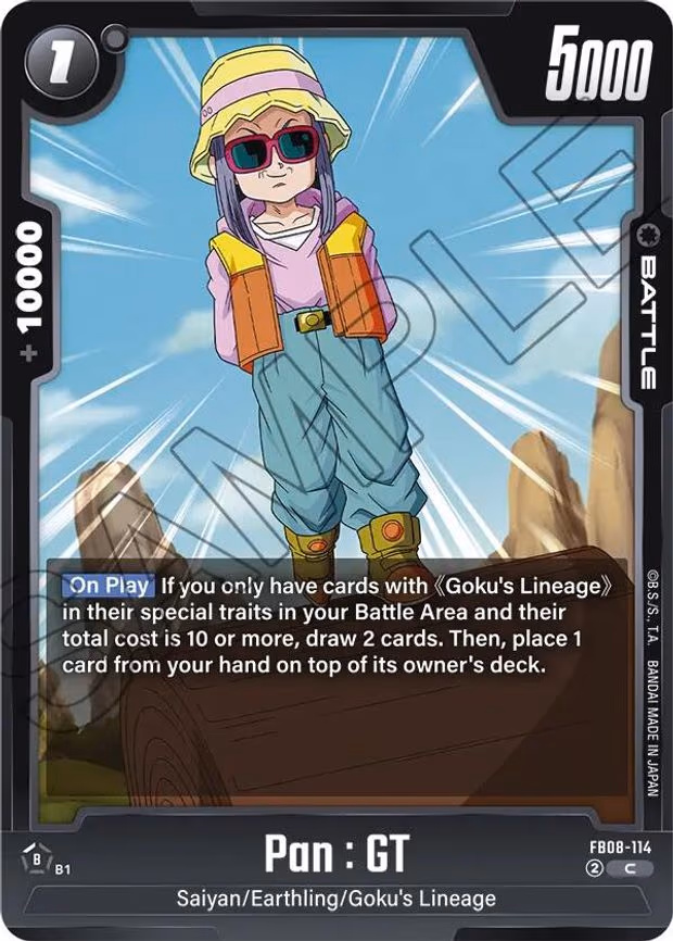 Pan - Common (FB08-114)