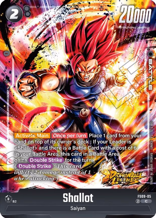 Shallot