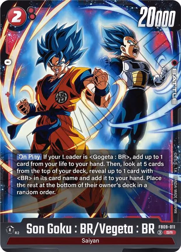 Son Goku : BR/Vegeta : BR