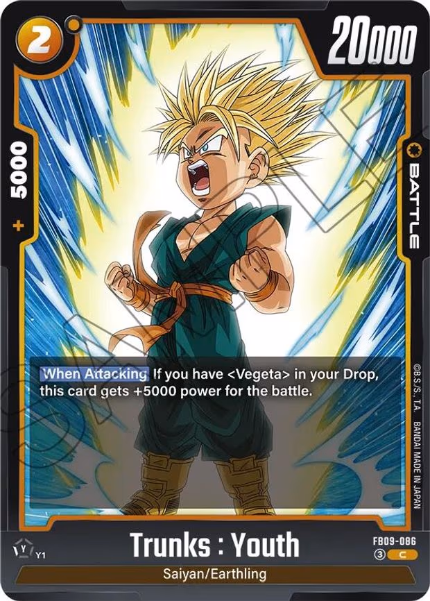 Trunks : Youth - Common (FB09-086)