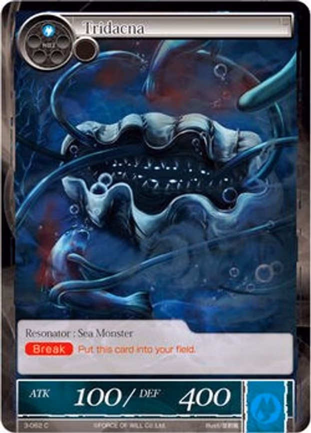 Tridacna - Common (3-062)