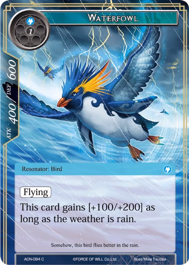 Waterfowl - Common (ACN-084)