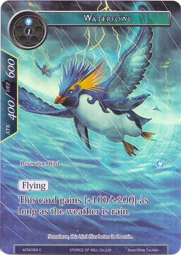 Waterfowl - Common (ACN-084)