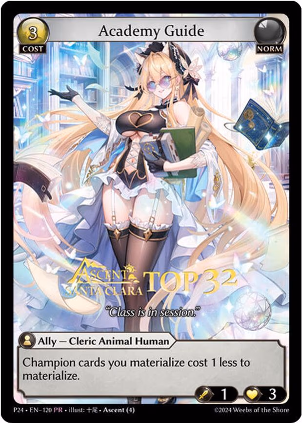 Academy Guide