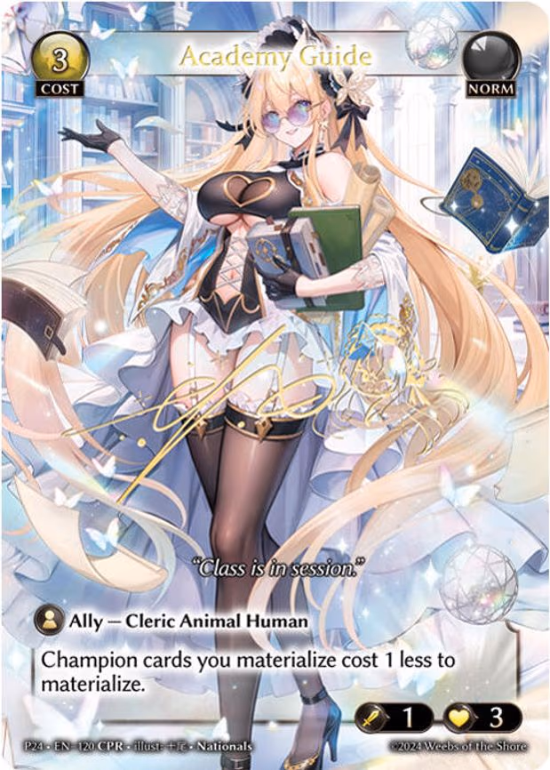 Academy Guide