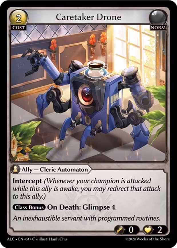 Caretaker Drone
