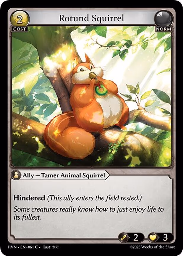 Rotund Squirrel - Common (061)