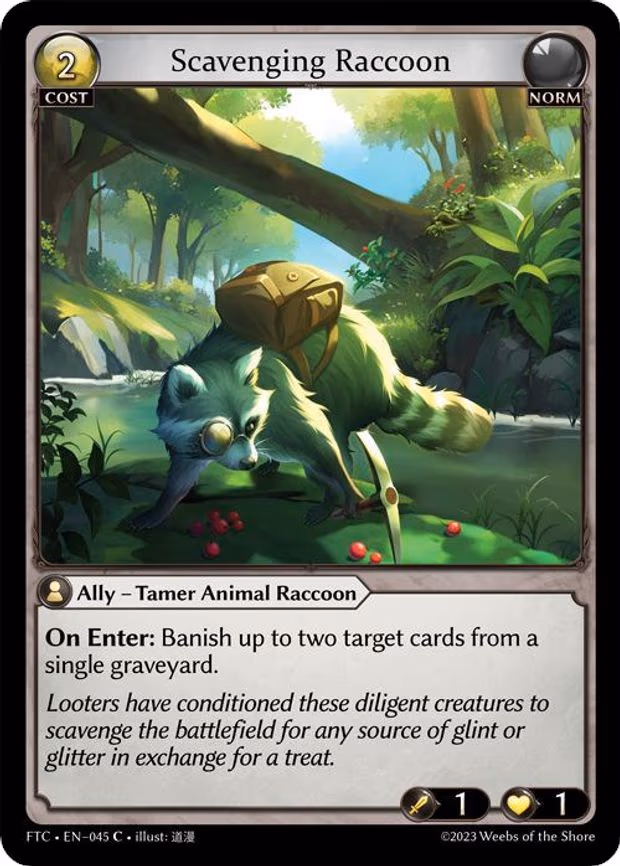 Scavenging Raccoon - Common (045)