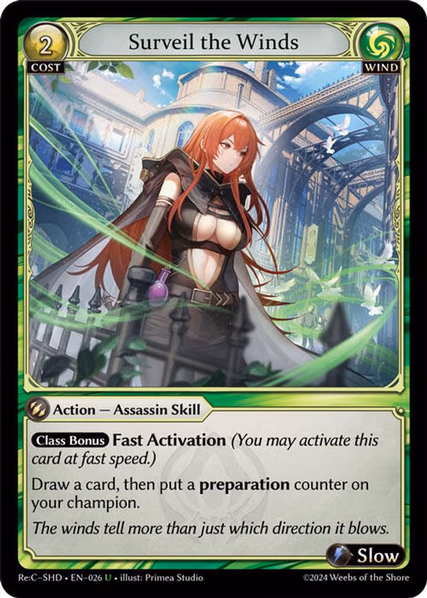 Surveil the Winds