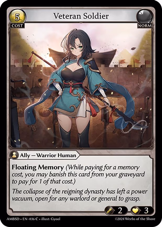 Veteran Soldier